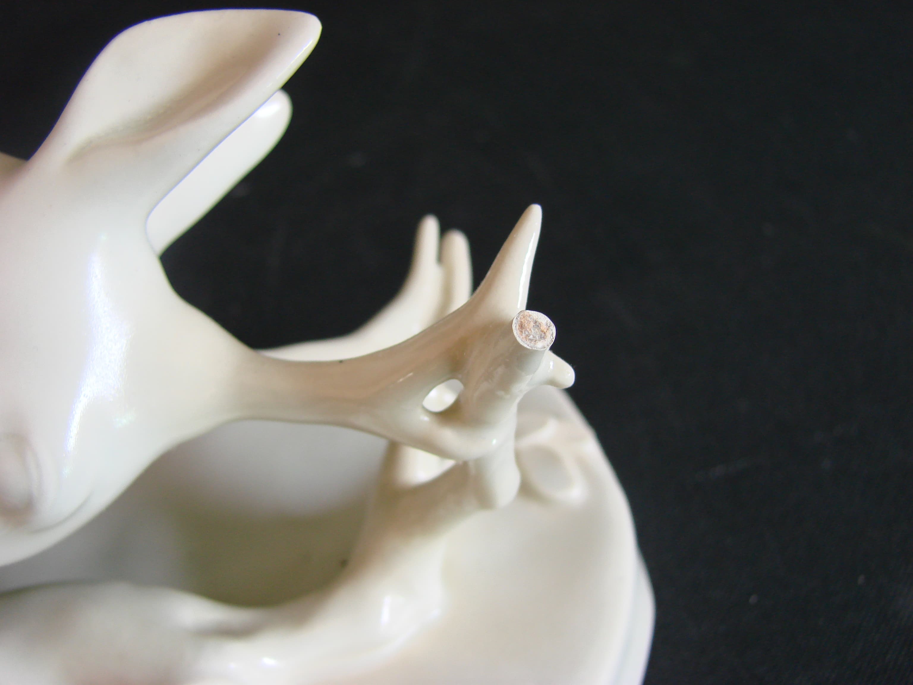 Chevreuil après restauration