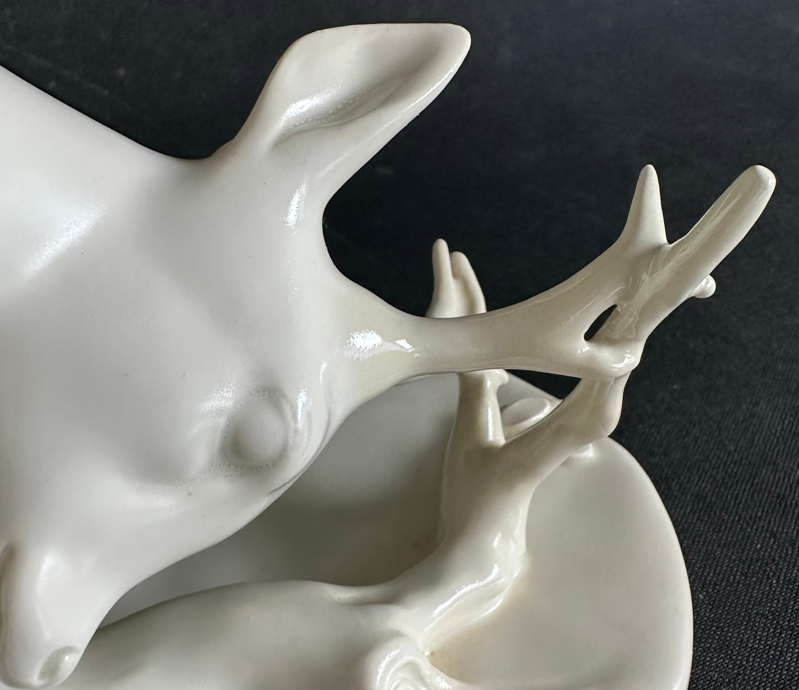 Chevreuil après restauration